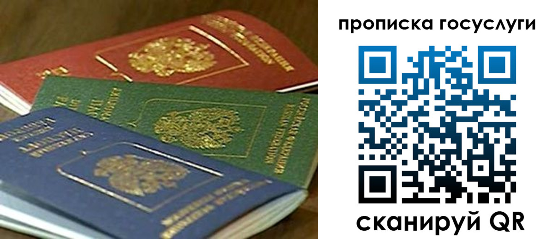 прописка гарантия в Заречном